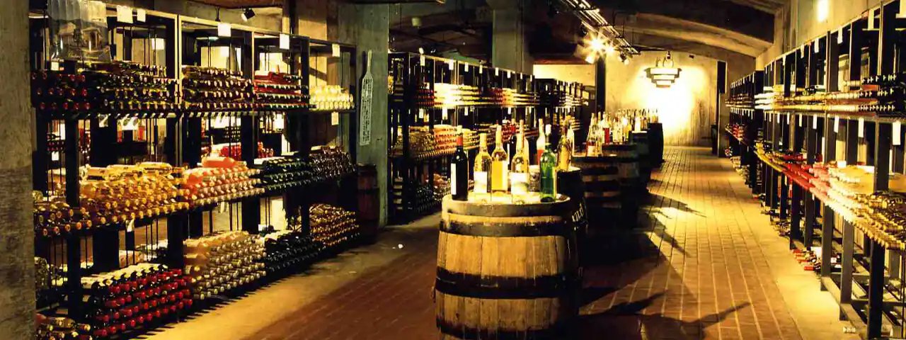 🍇 고슈시 가쓰누마 포도의 언덕(부도노오카) 이미지 1